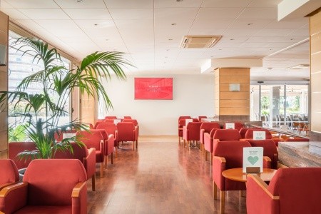 Alegria Florida - 57