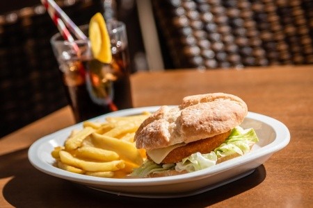 Alegria Florida - 61