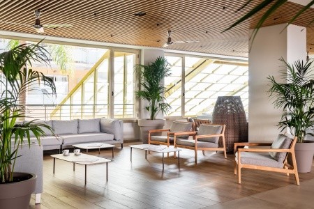 Alegria Florida - 66