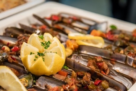 Alegria Florida - 80