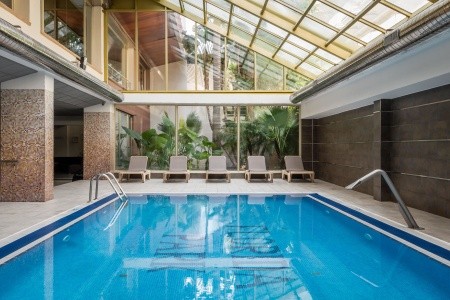 Alegria Florida - 83