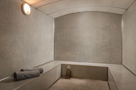 Alegria Florida - 86