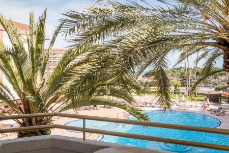 Alegria Florida - 98