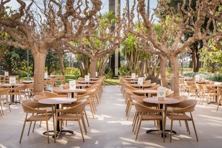 Alegria Florida - 128