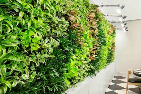 Spojené arabské emiráty Dubaj Ibis Deira City Centre 5 dňový pobyt Bez stravy Letecky Letisko: Praha April 2026 (11/04/26-15/04/26)