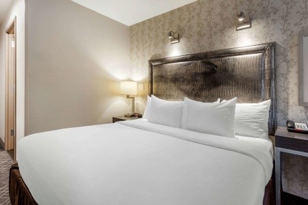 Times Square West Hotel, Bw Signature Collection - 28