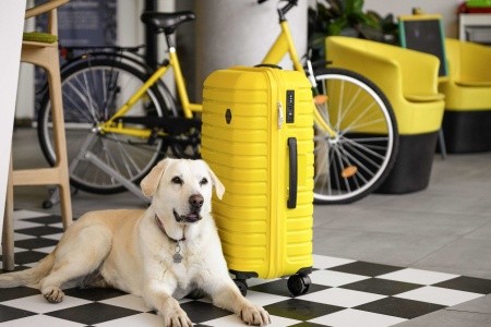 Ibis Styles Budapest City - 77