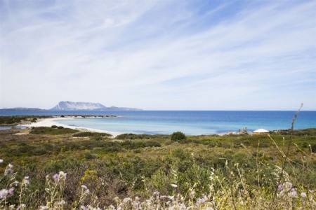 Residence Oasi A Oasi Blu - 30