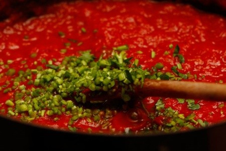 Ola (Seget Donji) - 9