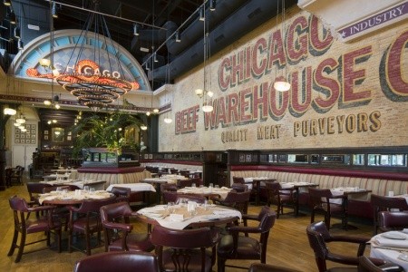 Disneyland, Eiffelova věž a Aquarium de Paris - 18