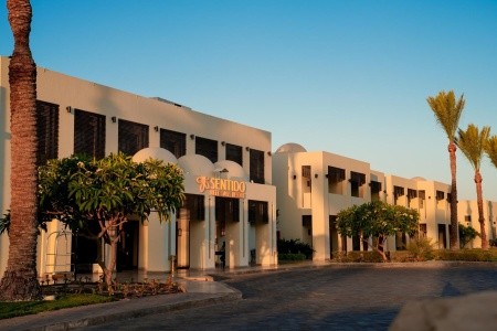 Egypt Sharm El Sheikh Sentido Reef Oasis Senses Resort 15 dňový pobyt All Inclusive Letecky Letisko: Praha July 2026 (25/07/26- 8/08/26)