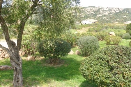 Micalosu (Arzachena)