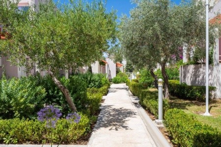 Chorvátsko Makarská riviéra Bluesun Holiday Village Afrodita 10 dňový pobyt Raňajky Letecky Letisko: Praha October 2025 ( 8/10/25-17/10/25)