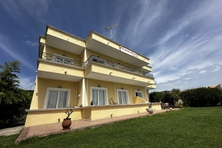 Studia Alexandros - 3