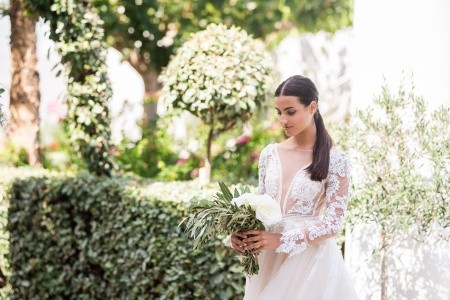 The Royal Blue - 239