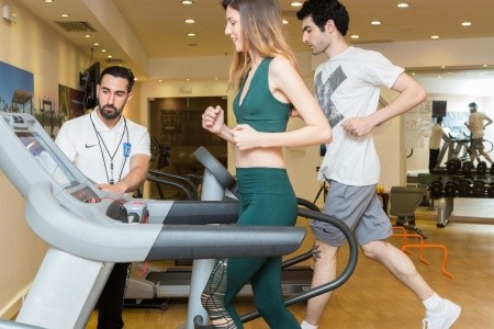 The Royal Blue - 248