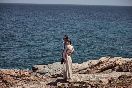 The Royal Blue - 260