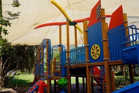 Kleopatra Royal Palm - 27