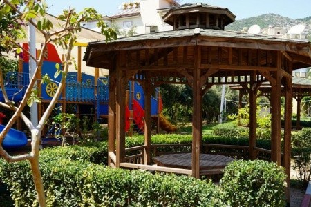 Kleopatra Royal Palm - 28