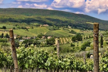 To nejlepší z Toskánska s degustací toskánských vín - 20