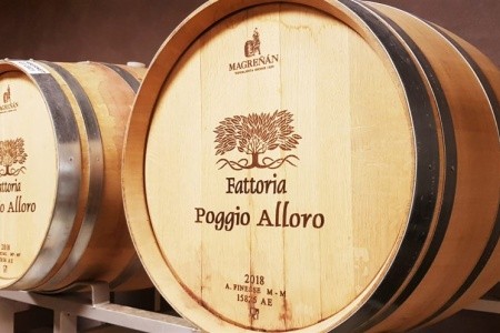 To nejlepší z Toskánska s degustací toskánských vín - 29