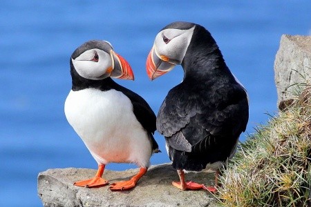 NA ISLAND Z PRAHY, nejen pro 55+ - 4