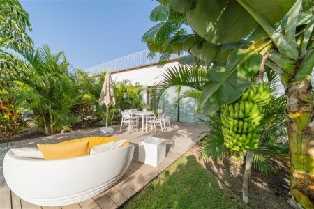 Cordial Santa Agueda - 37