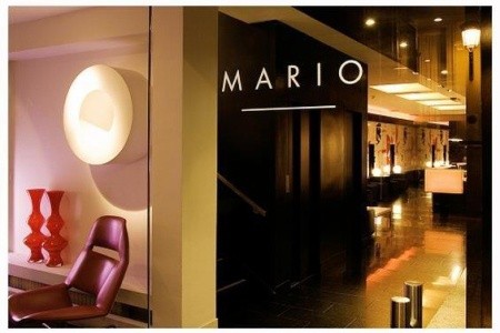 Room Mate Mario