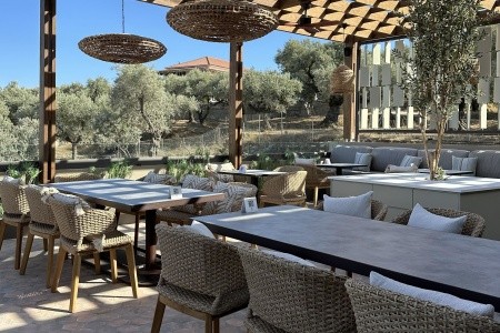 King Jason Zante - 49