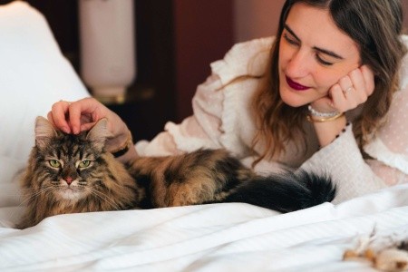 Mgallery Nest Paris La Defense - 69