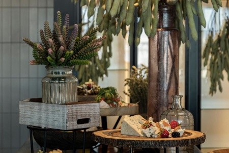 King Jason Zante - 86