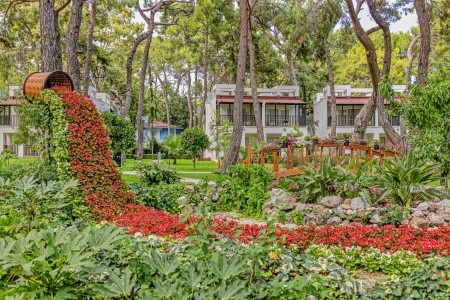 Seven Seas Life (Ex. Otium Life) - 4