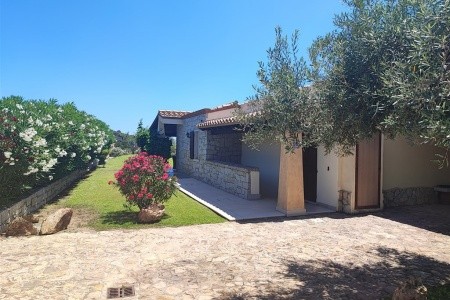 Vilky San Pietro - 16