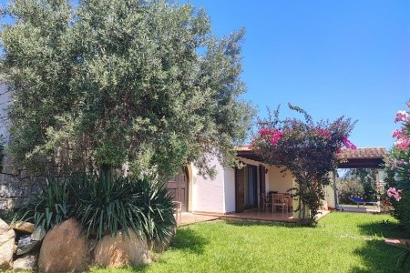 Vilky San Pietro - 22