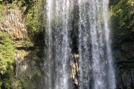 AUSTRÁLIE země protinožců, AUSTRÁLIE země protinožců - 21