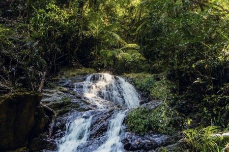 AUSTRÁLIE země protinožců, AUSTRÁLIE země protinožců - 30