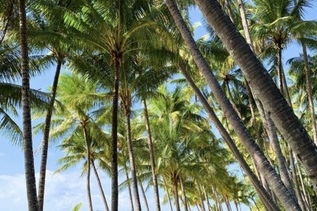 AUSTRÁLIE země protinožců, AUSTRÁLIE země protinožců - 31