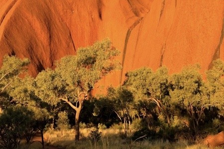 AUSTRÁLIE země protinožců, AUSTRÁLIE země protinožců - 34