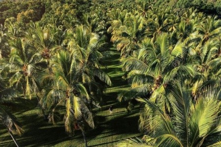 AUSTRÁLIE země protinožců, AUSTRÁLIE země protinožců - 35