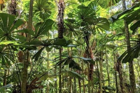 AUSTRÁLIE země protinožců, AUSTRÁLIE země protinožců - 39