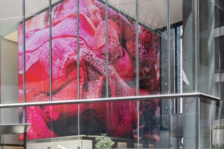 AUSTRÁLIE země protinožců, AUSTRÁLIE země protinožců - 83