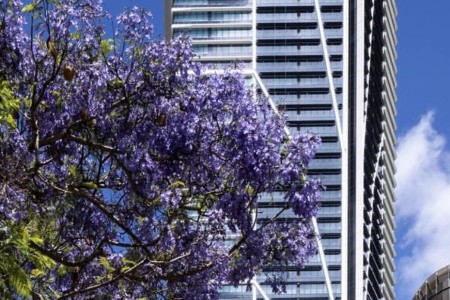 AUSTRÁLIE země protinožců, AUSTRÁLIE země protinožců - 84