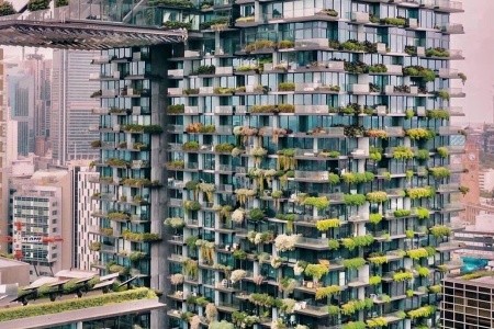 AUSTRÁLIE země protinožců, AUSTRÁLIE země protinožců - 91