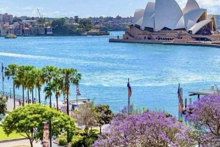 AUSTRÁLIE země protinožců, AUSTRÁLIE země protinožců - 98