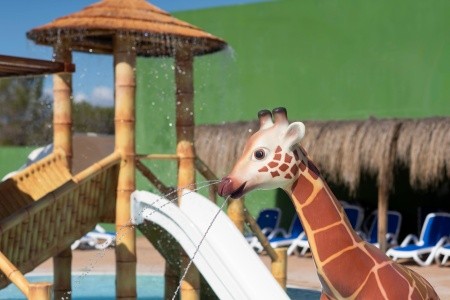 Hsm Canarios Park - 66