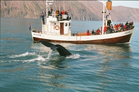 PERLY ISLANDSKÉHO SEVERU – Sedm divů Islandu II. - 3