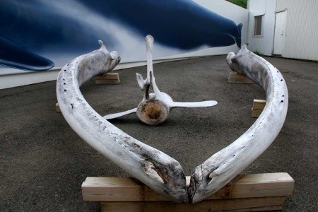 PERLY ISLANDSKÉHO SEVERU – Sedm divů Islandu II. - 8