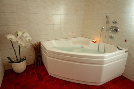 Stella Alpina (Bellamonte) - 4