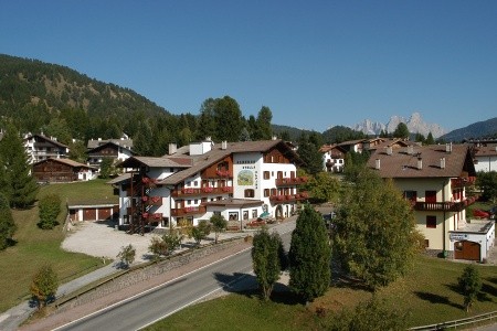 Stella Alpina (Bellamonte) - 6