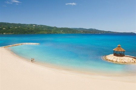 Secrets Wild Orchid - 5